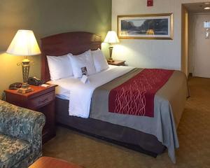 Легло или легла в стая в Comfort Inn Springfield