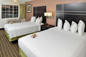 Postel nebo postele na pokoji v ubytování Quality Inn