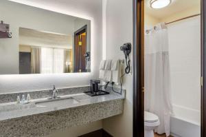a bathroom with a sink and a mirror and a toilet at Quality Inn Verona - Staunton North in Staunton