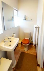 a bathroom with a sink and a toilet and a mirror at Koppie Cottage in Prince Albert