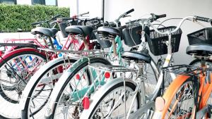 Катание на велосипеде по территории Thongsuk Mini Resort или окрестностям