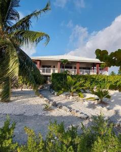una casa su una spiaggia con una palma di Pension Tiputa Lodge Rangiroa a Tiputa