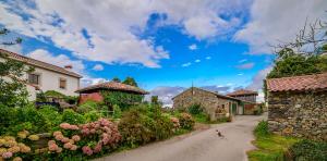 a cat walking down a dirt road in a village at Casa Rural Al Otro Lado del Mar in Oviñana