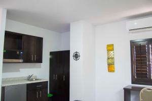 Kuchyň nebo kuchyňský kout v ubytování Hotel Onix Suites