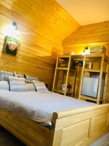 a bedroom with a bed and a tv in a room at Domeniul Horj Casa din Cireș Moisei in Moisei