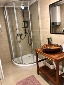 a bathroom with a shower with a sink and a mirror at Domeniul Horj Casa din Deal Moisei in Moisei +32 photos
