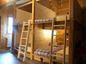 Palanda nebo palandy na pokoji v ubytování Freeride Hostel