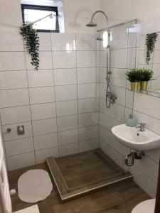 een badkamer met een douche, een wastafel en een toilet bij L&R Apartment in Győr