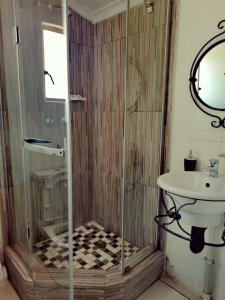 a bathroom with a shower and a sink at Mashusha Bed & Breakfast in Gaborone
