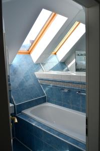 a bath tub in a bathroom with a skylight at Hotel Iadolina in Stana de Vale