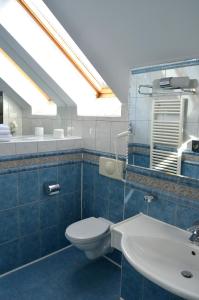 bagno con servizi igienici e lavandino di Hotel Iadolina a Stâna de Vale