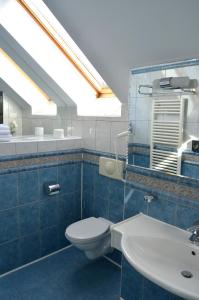 a bathroom with a toilet and a sink at Hotel Iadolina in Stana de Vale