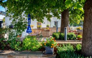 a garden with a blue umbrella and some plants at Hotel-Linde-Restaurant Monika Bosch und Martin Bosch GbR in Heidenheim an der Brenz