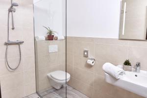 a bathroom with a shower and a toilet and a sink at Naturhotel Schloss Kassegg in Sankt Gallen