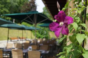 Zahrada ubytování Naturhotel Schloss Kassegg