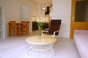 Kuchyň nebo kuchyňský kout v ubytování apartment golden Prague
