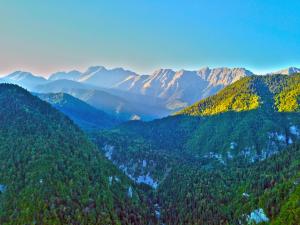 a view of a mountain valley with trees and mountains at Apartments Izumrudniy Bereg in Gudauta