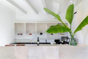 Hotel Bodega Tio Pepe的厨房或小厨房
