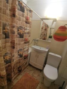 ヴォルゴドンスクにあるApartment on Stroiteley 7aのバスルーム(トイレ、洗面台、シャワー付)