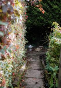 un camino de jardín con una pequeña sombrilla en el medio en The Cottage @ Burkedale House, en Corrofin