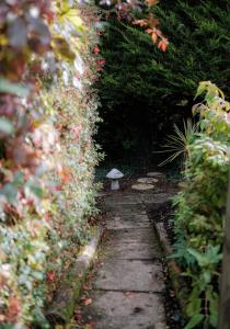 a garden path with a small umbrella in the middle at The Cottage @ Burkedale House in Corrofin