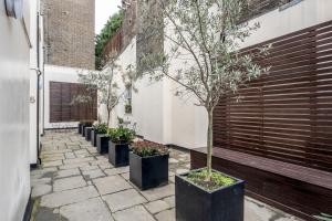 Κήπος έξω από το Stay Kula London - Victoria