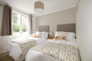 a bedroom with two beds and a window at Hollicarrs - Woodland Lodge in York
