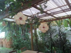 Zahrada ubytování Pousada Portal das Flores