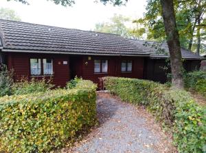 gîte superéquipé en Ardenne belge室外花園
