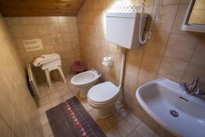 La petite salle de bains est pourvue de toilettes et d'un lavabo. dans l'établissement Albergo Stella, à Cavalese