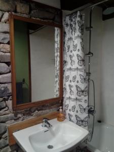 uma casa de banho com um lavatório, um espelho e uma cortina de chuveiro. em Casa del Arco em Aísa