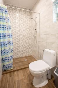 łazienka z toaletą i prysznicem w obiekcie Ažuluokesos sodyba w mieście Malaty