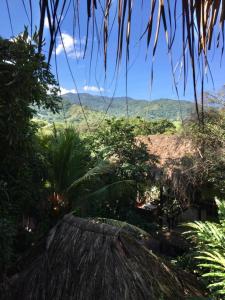 a view of a jungle with mountains in the background at Eco Hostal Yuluka in El Zaino