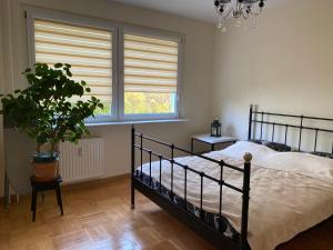 a bedroom with a bed and a plant and a window at Apartament Arkońska in Szczecin