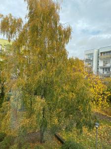 Gallery image of Apartament Arkońska in Szczecin