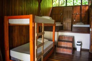 two bunk beds in a small room at Hostel Plinio in Manuel Antonio