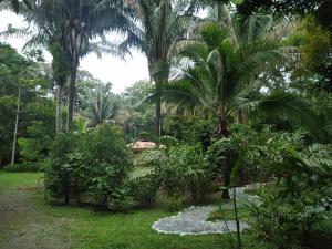 a garden with palm trees and a stone path at Four Monkeys Eco Lodge - Jungle & Beach in Cabo Matapalo