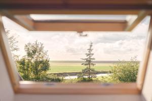 una ventana con vistas a un campo en FEWO auf dem Lande / nahe SPO, en Tümlauer Koog