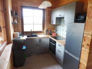 a kitchen with a refrigerator and a sink at Chata Sosenka in Sygontka