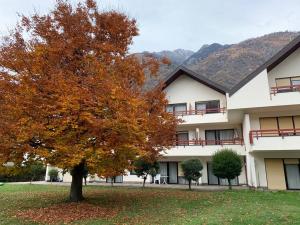 a tree in a yard in front of a building at Residence Gerold in Rablà
