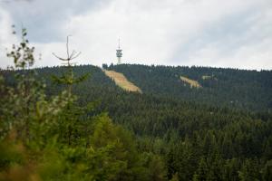 Fotografia z galérie ubytovania Chalupa Na Skalce - Haj v destinácii Loučná pod Klínovcem