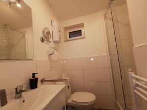 a bathroom with a toilet and a sink and a shower at Monteurhütte in Rösrath