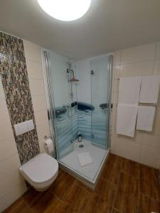 a bathroom with a glass shower and a toilet at Lavendel Apartment in Riederich