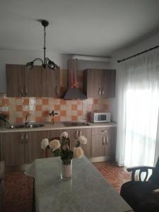 Kuchyň nebo kuchyňský kout v ubytování CASA RURAL AGUA AGRIA