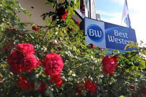 un arbusto de rosas rojas delante de una mejor señal occidental en Best Western Hotel Rosenau en Bad Nauheim