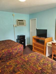 um quarto de hotel com uma cama, uma secretária e uma televisão em Travel Inn Daytona em Daytona Beach