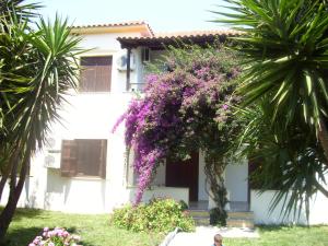 Zahrada ubytování Hotel Elytis