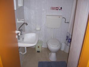 Baño pequeño con aseo y lavamanos en Hotel Elytis, en Potistika