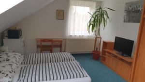 TV a/nebo společenská místnost v ubytování Veszprém Room