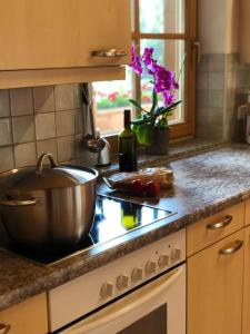 Cucina o angolo cottura di Farnreit